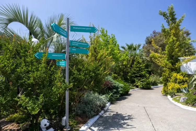 Территория AZIMUT Здоровье Ивушка Сочи