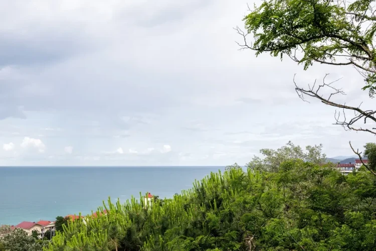 Номера AZIMUT Здоровье Ивушка Сочи