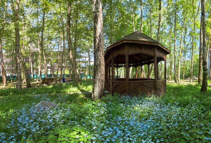 Санаторий AZIMUT Здоровье Янтарь