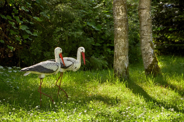 Санаторий AZIMUT Здоровье Янтарь