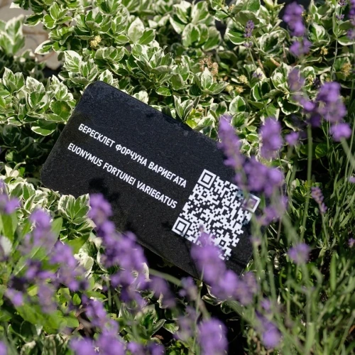 AZIMUT Здоровье Долина Нарзанов Ессентуки