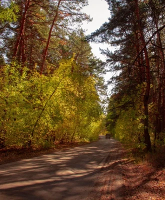 Шадринск