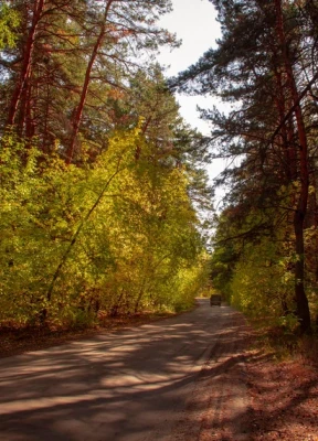 Шадринск
