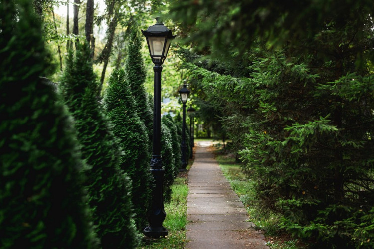 AZIMUT Здоровье Янтарь