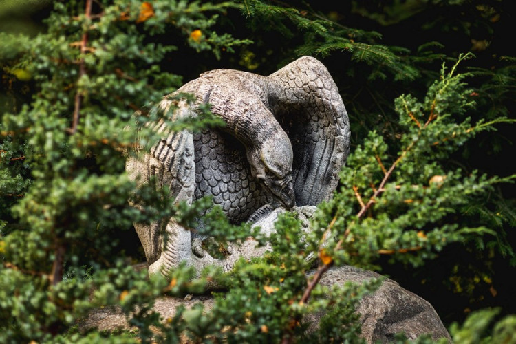 AZIMUT Здоровье Янтарь