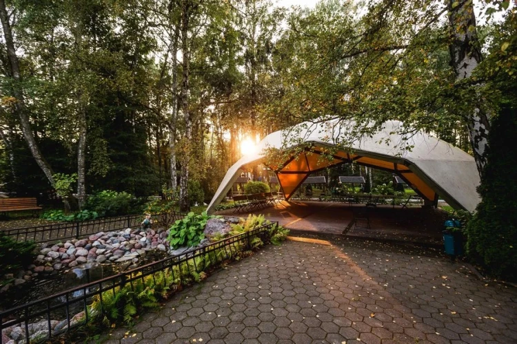 AZIMUT Здоровье Янтарь