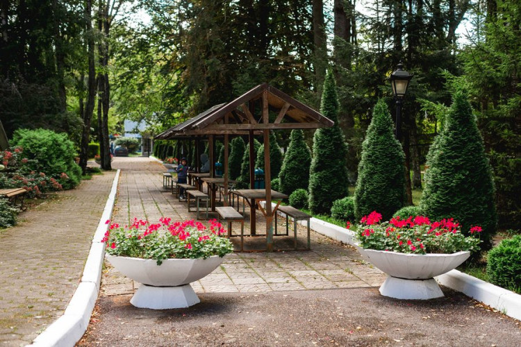 AZIMUT Здоровье Янтарь