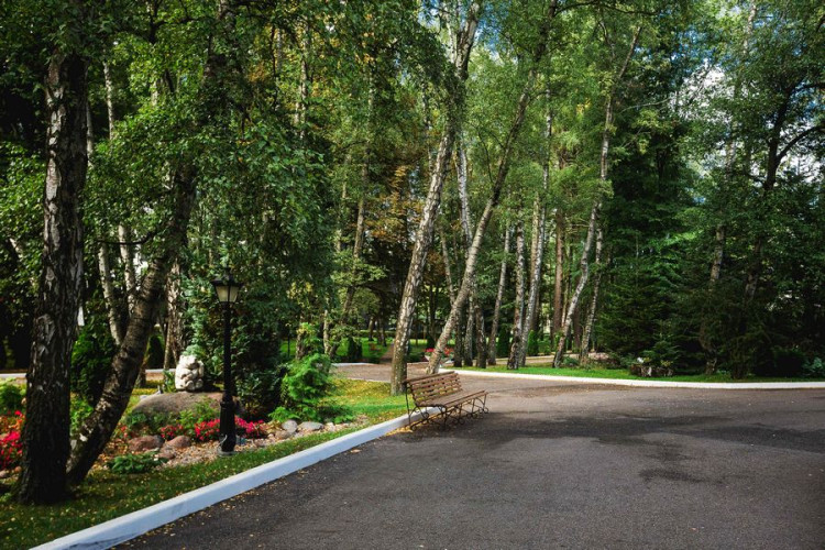 AZIMUT Здоровье Янтарь