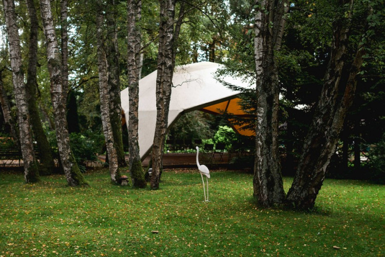 AZIMUT Здоровье Янтарь