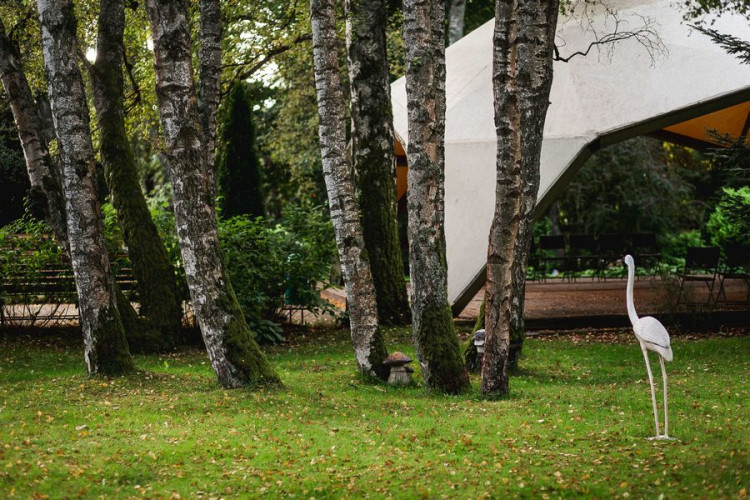 AZIMUT Здоровье Янтарь