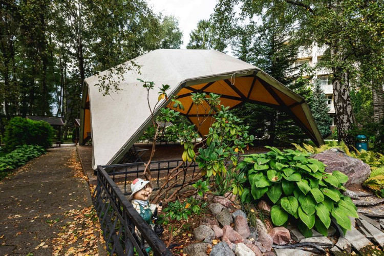 AZIMUT Здоровье Янтарь