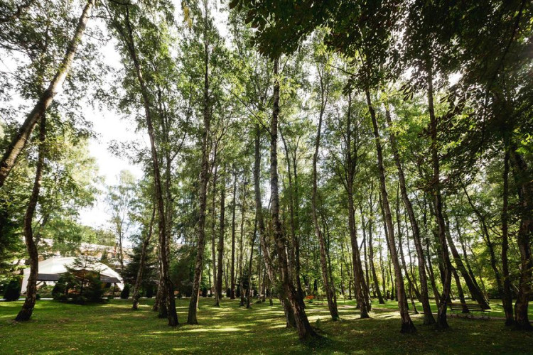 AZIMUT Здоровье Янтарь