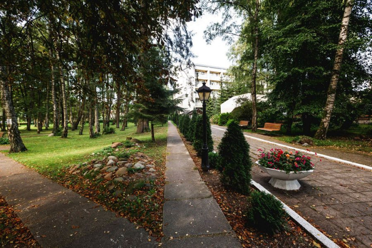 AZIMUT Здоровье Янтарь