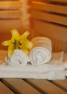 Cedar barrel and infrared sauna