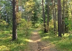 Health Retreat at an Attractive Price
