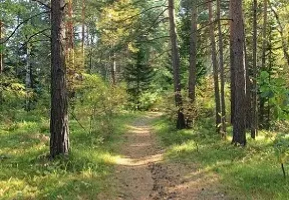 Оздоровительный отдых по выгодной цене