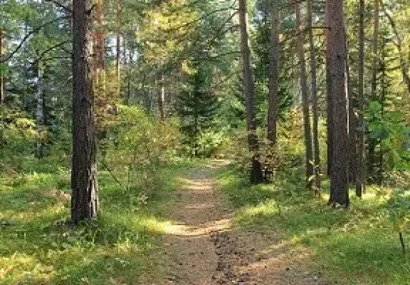 Оздоровительный отдых по выгодной цене