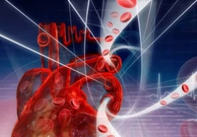 Diseases of the Circulatory System