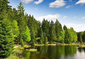 Скидки на длительное проживание в домиках-бунгало