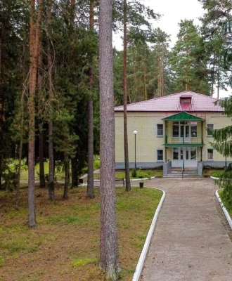 Pine Forest