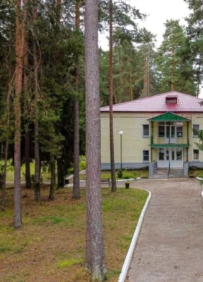 Pine Forest