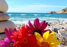 Весенние каникулы в санатории Черноморье!