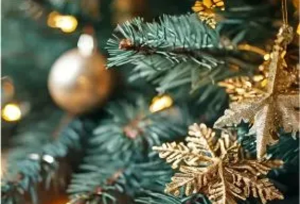 Расписание сеансов аквакомплекса
в период новогодних и рождественских праздников