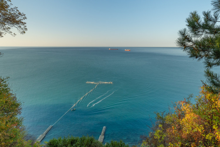 AZIMUT Здоровье Зеленый Гай