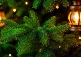 Солнечный Новый 2026 год в санатории Октябрьский