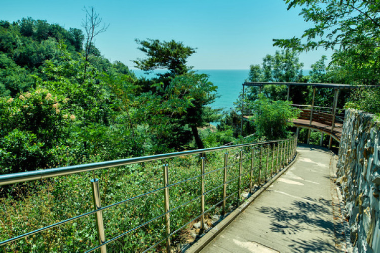 AZIMUT Здоровье Зеленый Гай